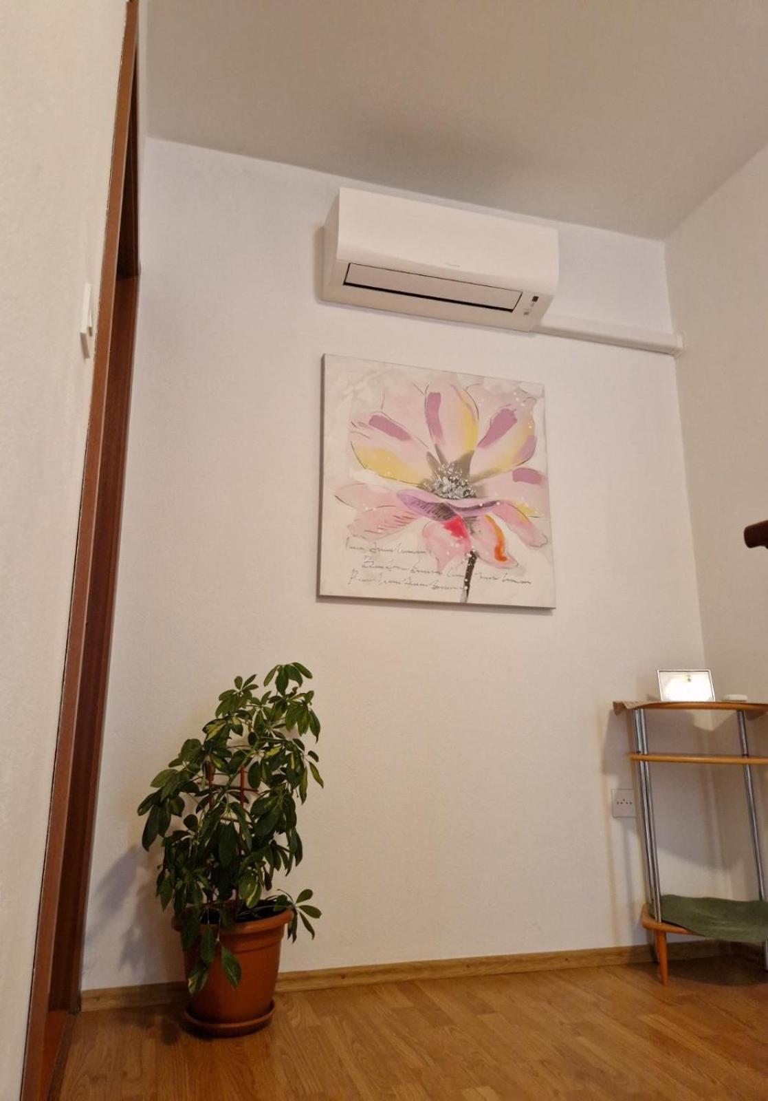 Apartman Seka Кралєвиця Екстер'єр фото